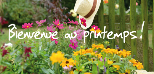 Vive les beaux jours qui arrivent ! Et PIOU et ZANZAN !